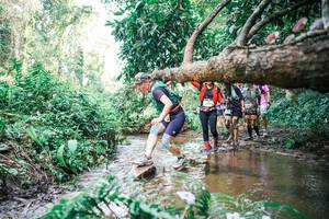 BIB: 
                            <button type="button" onclick="openModal(25517145)" class="btn btn-primary btn-sm float-right btn-popup" data-toggle="modal" data-target=".modal-high-quality">
                        <i class="fas fa-shopping-cart"></i> Add to Cart
                    </button>
                                            <button type="button" onclick="isThisMe(25517145, true)" class="btn btn-success btn-sm float-right btn-popup btn-isme hidden" data-toggle="tooltip" data-placement="bottom" title="นี่คือรูปของคุณใช่ไหม คลิกที่นี่เพื่อเอาเข้าอัลบั้ม">
                        <i class="fas fa-plus"></i> Add to album
                    </button>
                    <button type="button" onclick="isThisMe(25517145, false)" class="btn btn-warning btn-sm float-right btn-popup btn-isnotme hidden">
                        <i class="fas fa-ban"></i> Remove from album
                    </button>